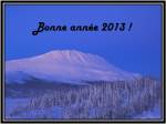 Bonne année 2013