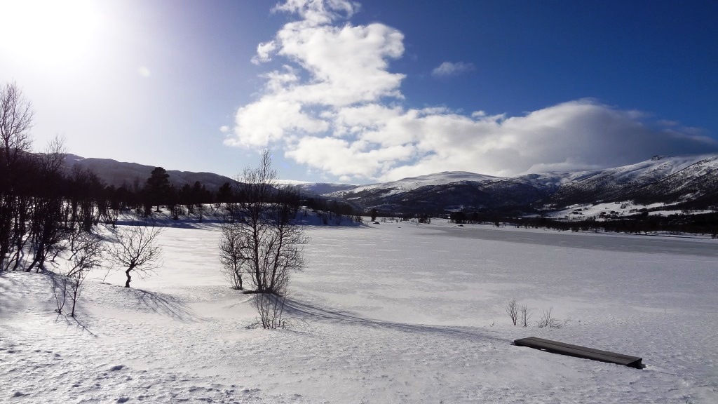 ???????????????????????????????