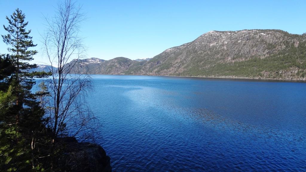 ???????????????????????????????