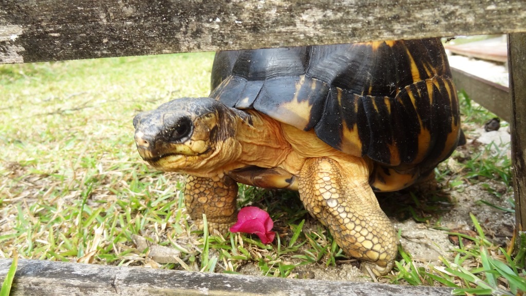 ???????????????????????????????