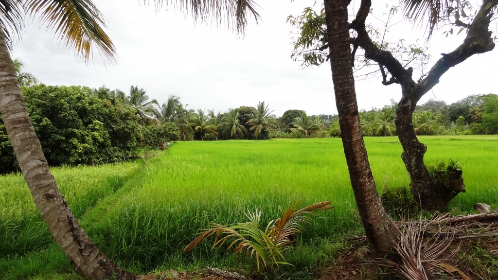 ???????????????????????????????