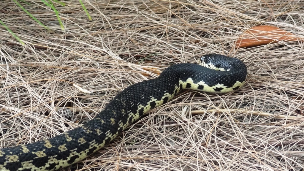 ???????????????????????????????