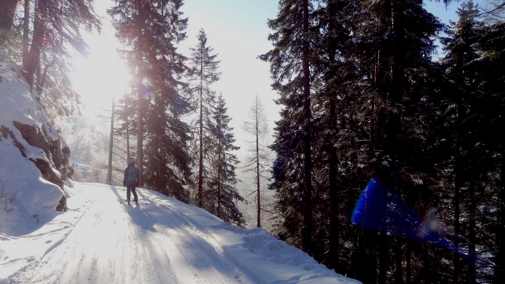 ???????????????????????????????