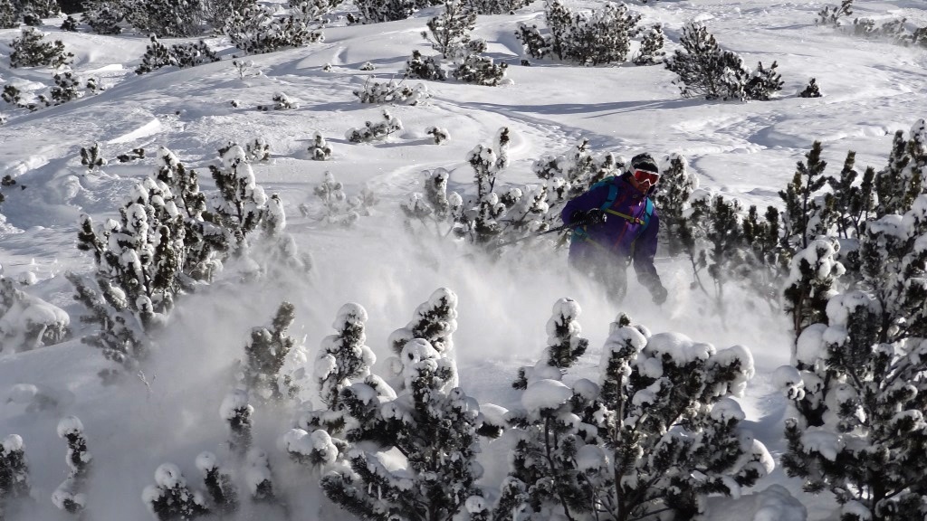 ???????????????????????????????