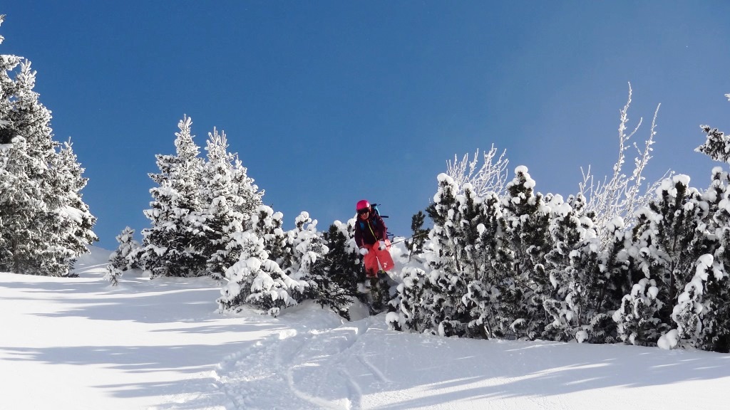 ???????????????????????????????