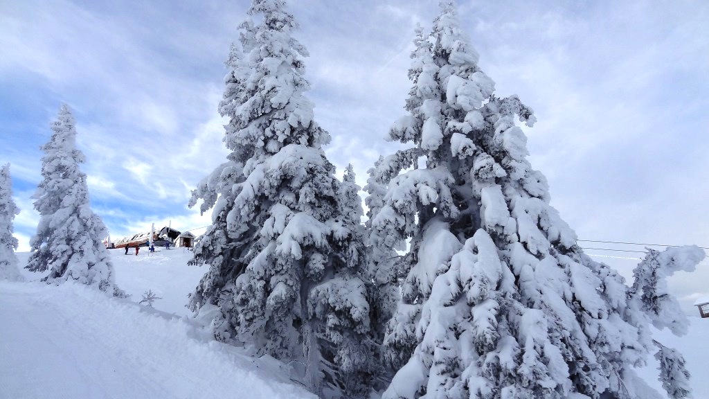 ???????????????????????????????