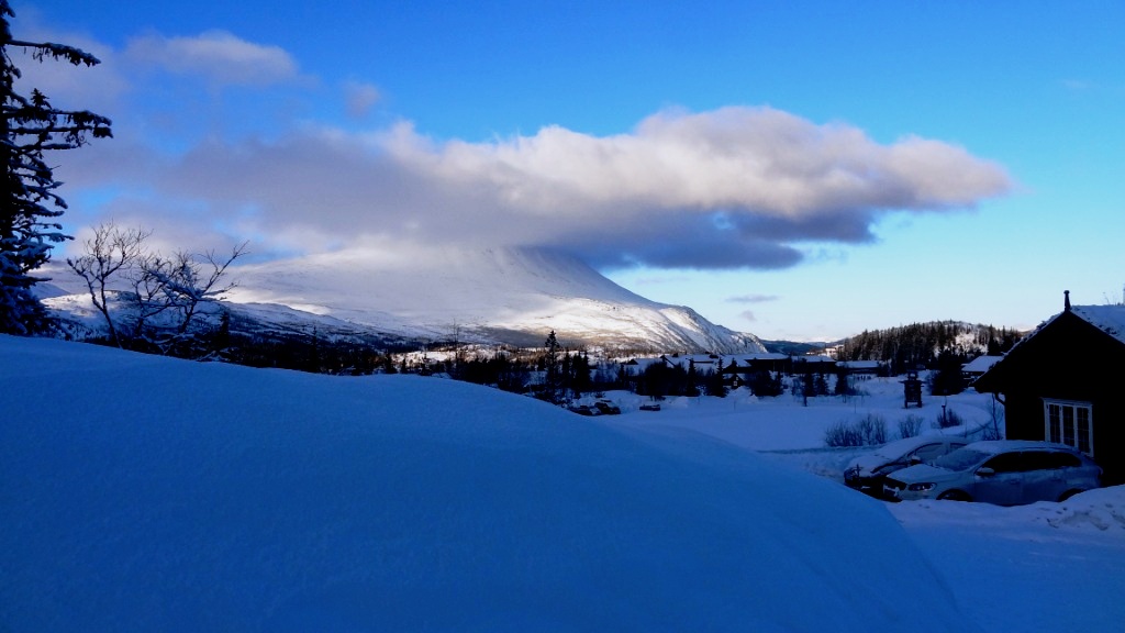 ???????????????????????????????