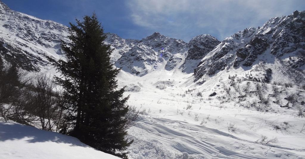 ???????????????????????????????