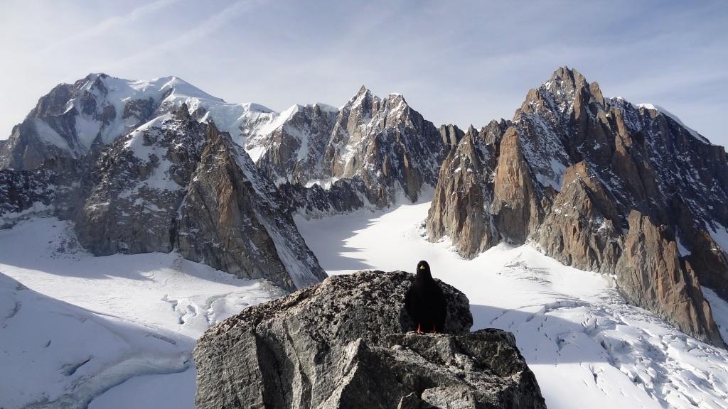 sommet aiguille toule