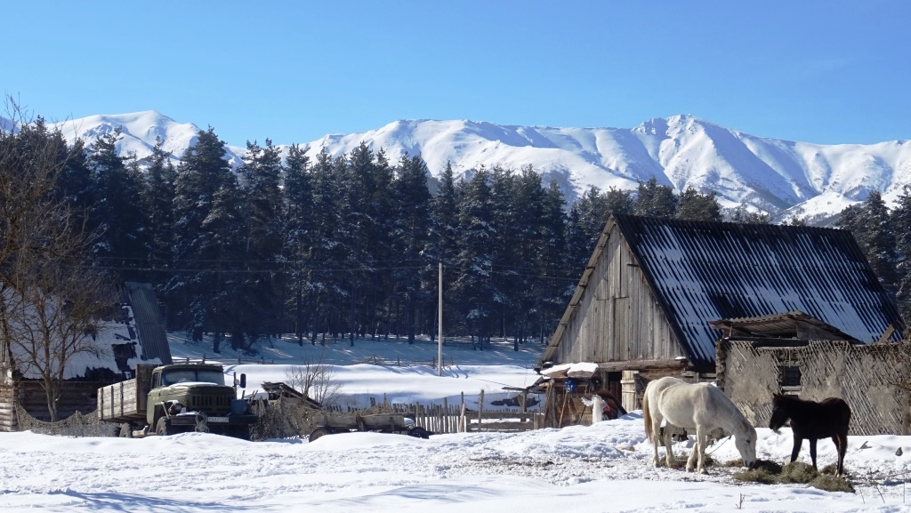 1 Bakuriani - backcountry