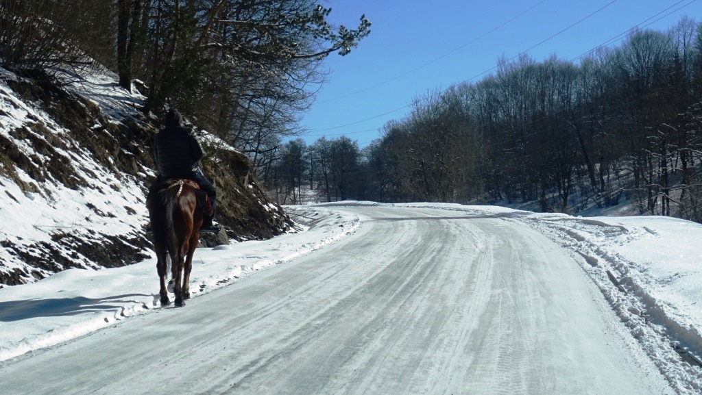 1 Bakuriani - cheval