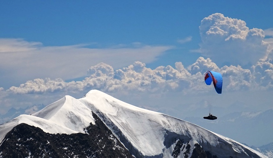 12 integrale tricot bionnassay