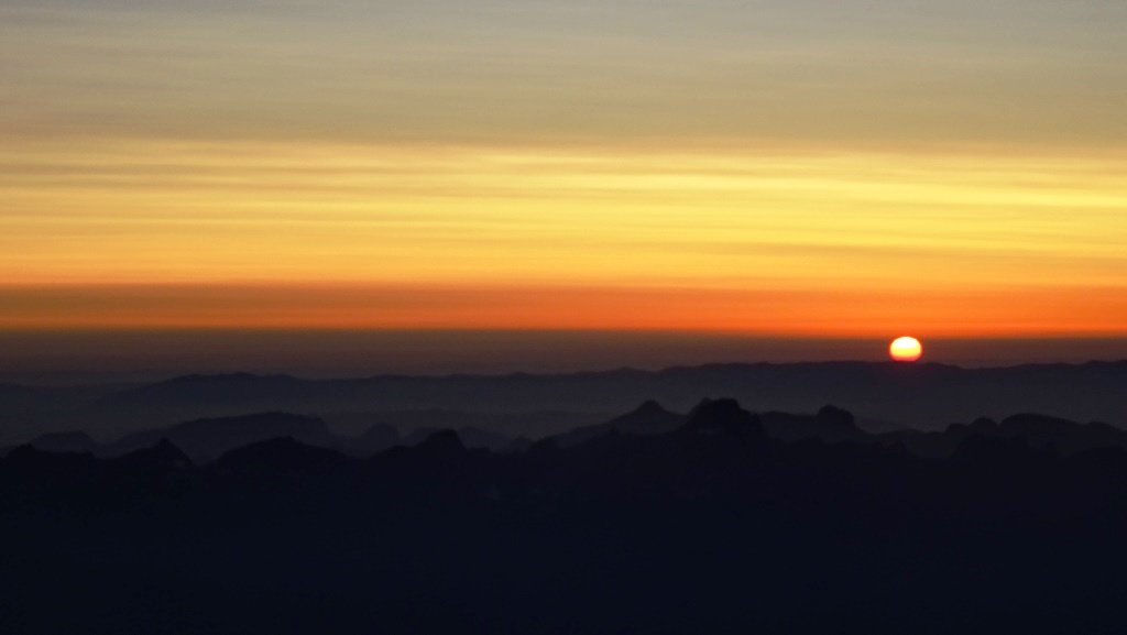 20 integrale tricot bionnassay