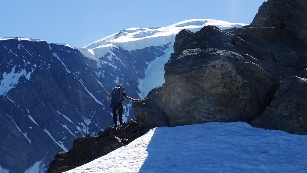 4 integrale tricot bionnassay