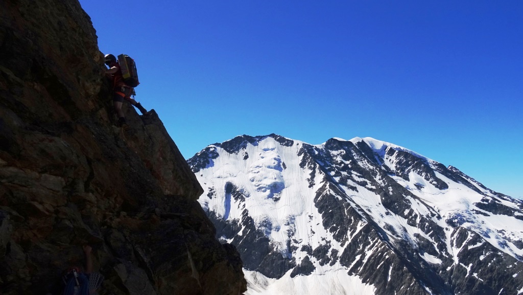 6 integrale tricot bionnassay